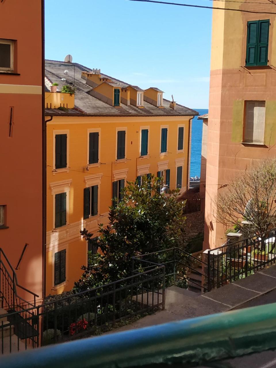 Augusta Albergo B&B Camogli Eksteriør billede